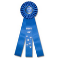 16" Stock Rosettes/Trophy Cup On Medallion - BEST OF SHOW